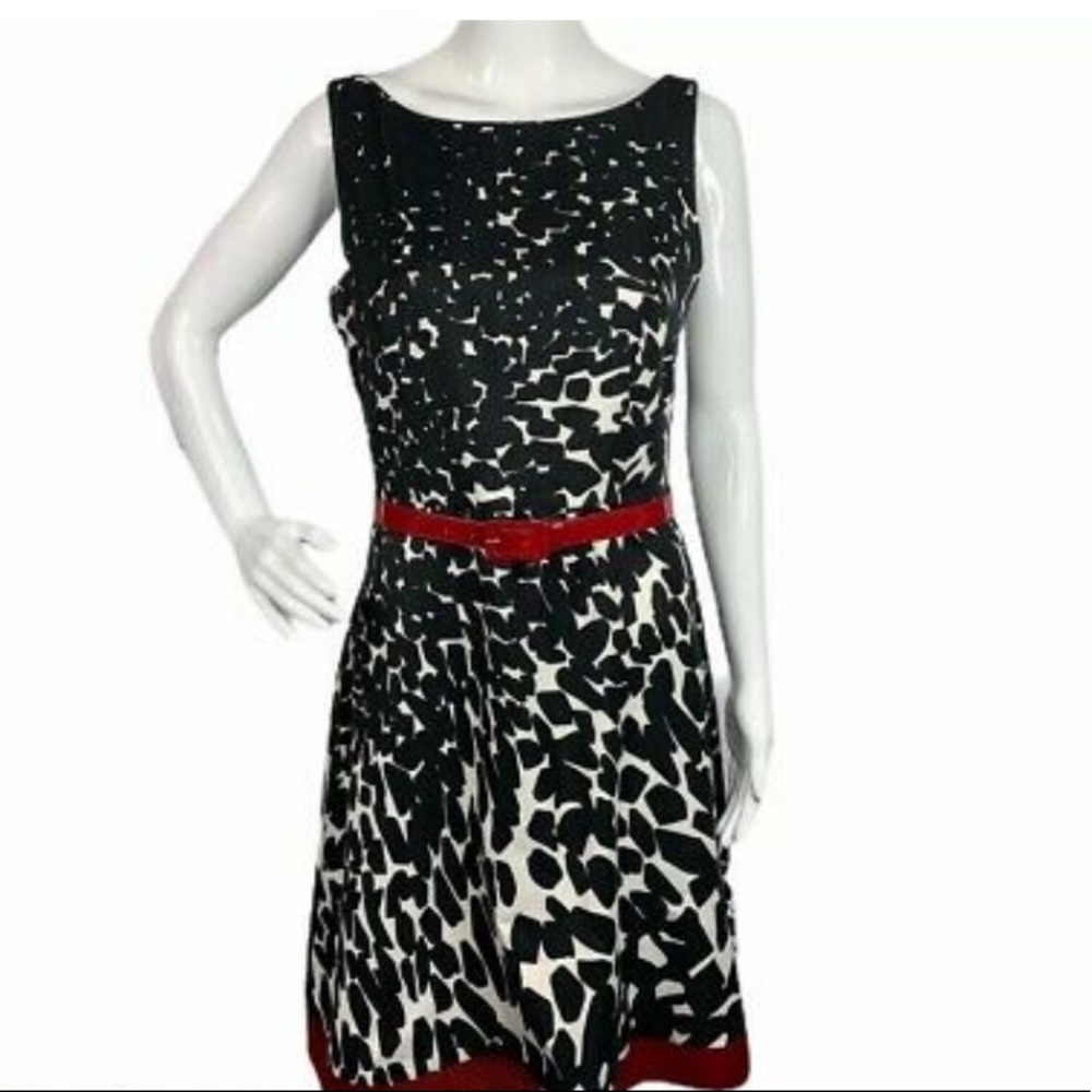 Ann Taylor Sleeveless Printed A Line Dress